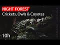 The Ultimate Sleep Experience Nighttime Nature Sounds Crickets Owls Coyotes mp3