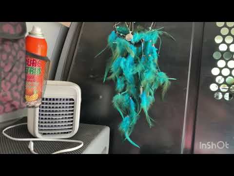 How I turn a Cargo Van into a Mini Home