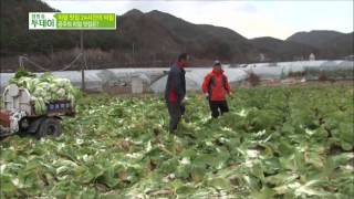 생방송 투데이 131128 #9(4)
