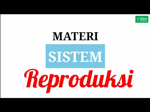 Video: Perbedaan Antara Sistem Reproduksi Pria Dan Wanita