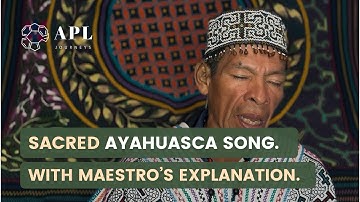 Healing Ayahuasca Icaro by Shipibo Shaman | Sacred Song Explained
