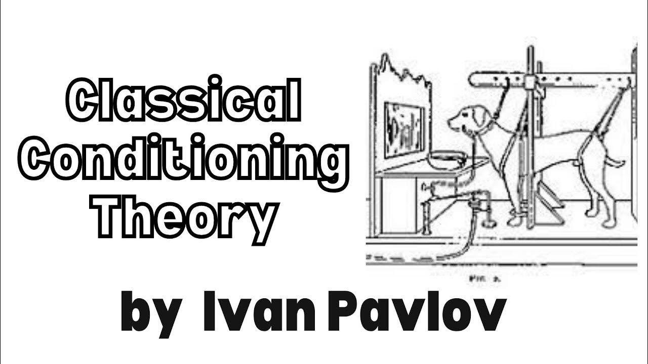 Classical Conditioning Theory of Learning Pavlov Classical Conditioning Theory YouTube