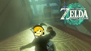 Why is Link running like this?! (Zelda: Tears of the Kingdom)