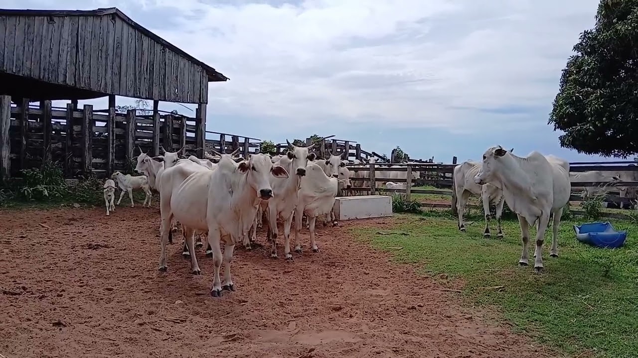 8 de dezembro de 2025