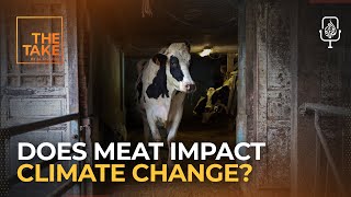 Eating our way out of climate collapse | The Take