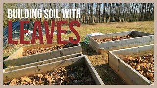 Using LEAVES to Build Soil in my Garden Beds