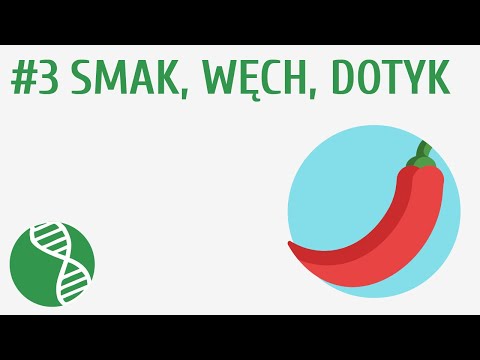 Wideo: W ustach zły smak?