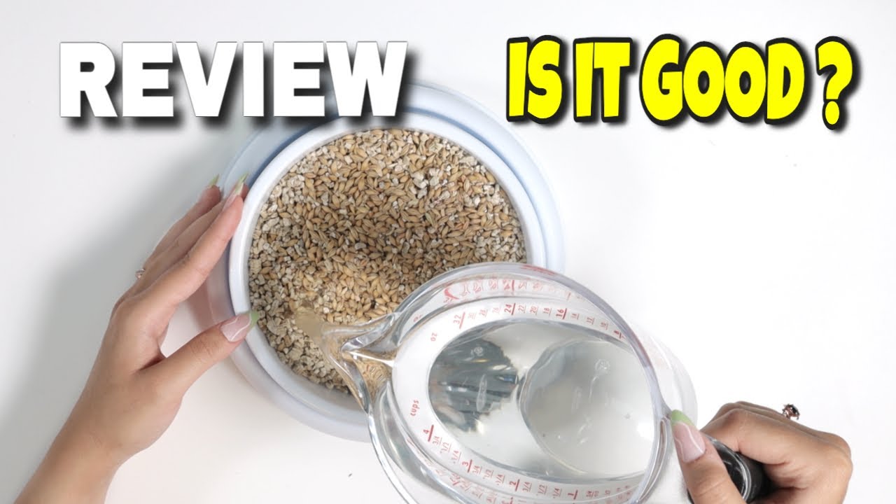 Catit Senses 2.0 Cat Grass Planter, Interactive Cat Toys