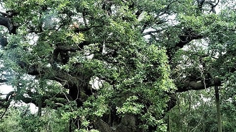 The United States Southern Command (USSOUTHCOM) Located In Doral Florida In Greater Miami Is One