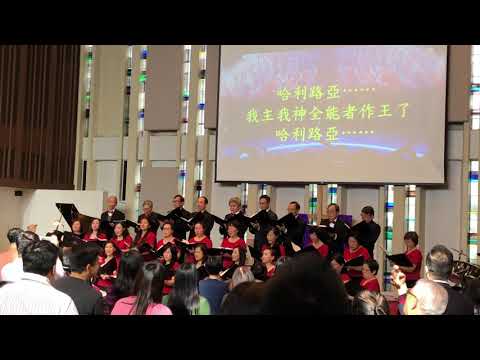 哈利路亞(ACBC 詩歌班獻唱）