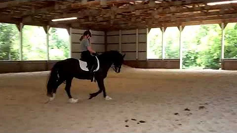 Pam Fowler Grace Clinic July 2016