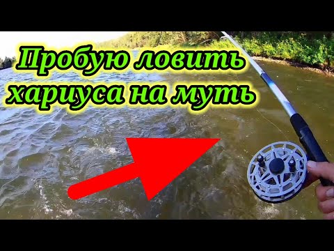 Пытаюсь Ловить 👆 хариуса на Муть. Рыбалка .