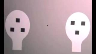 Baby Face Recognition