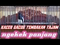 Kacer Gacor Tembakan Tajam Ngekek Panjang Mp3 - Mp4 Download