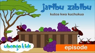 Ubongo Kids Webisode 35 - Jaribu Zabibu - Kutoa kwa Kuchukua