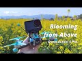 Above the Blooms: Osmo Action 5 Pro’s Elevated View