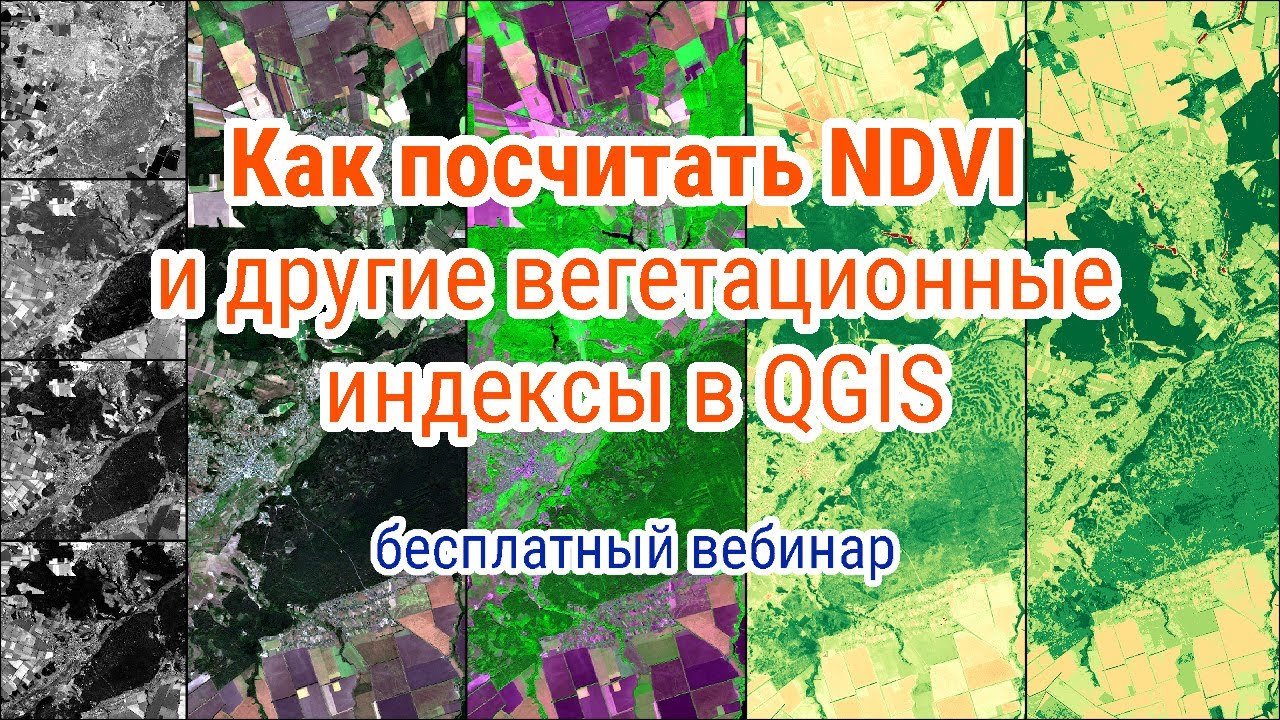 Вебинар: Как посчитать NDVI и другие индексы - Калькулятор растров в QGIS