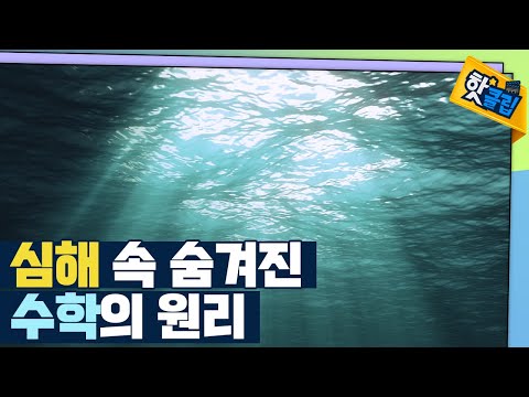 [핫클립] 심해 속 숨은 수학 / YTN 사이언스