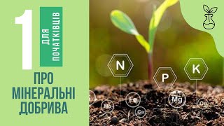 Мінеральні добрива: що варто знати початківцям. Частина 1