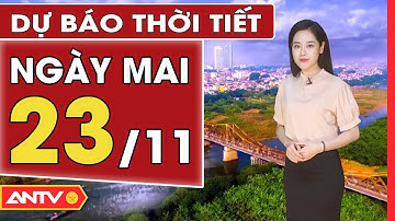 Dự báo thời tiết ngày mai 23/11: Miền Bắc mưa rào và dông, trời chuyển lạnh | ANTV