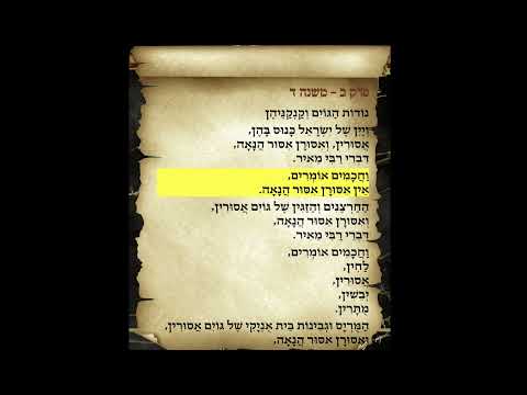 דף היומי עבודה זרה דף ל