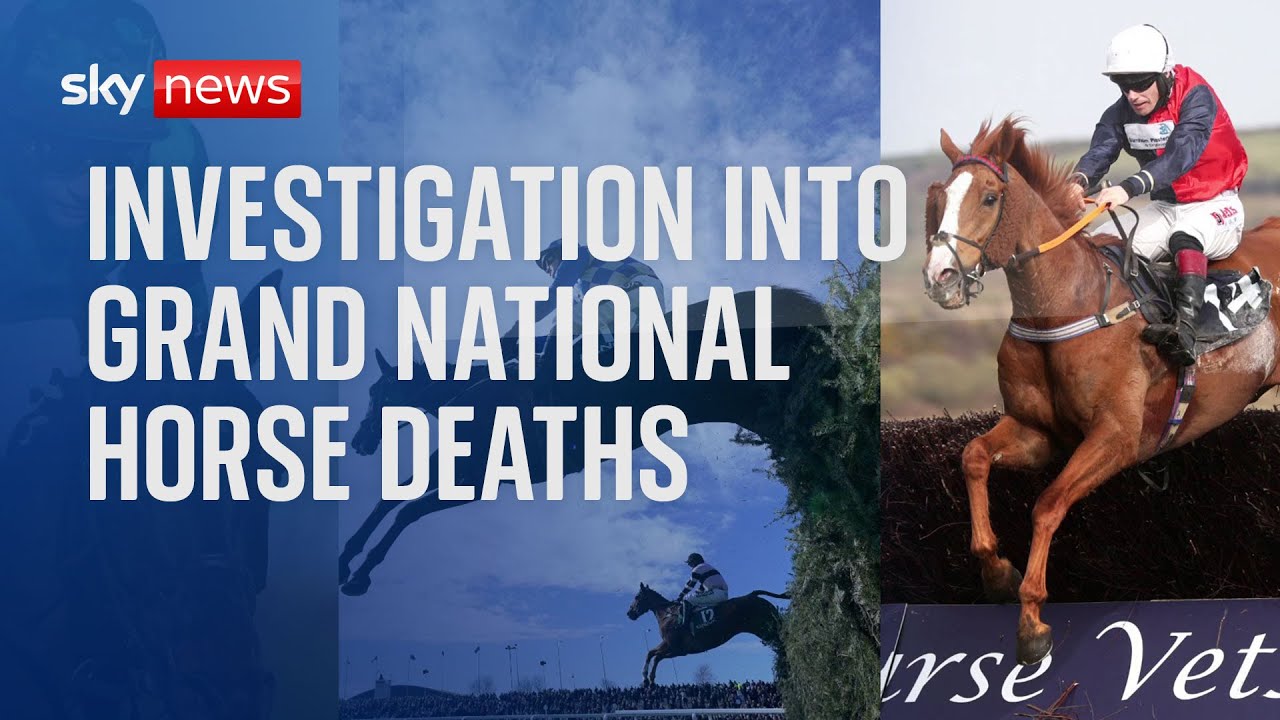Grand National: British Horseracing Authority to 'analyse' Grand National after horse deaths
