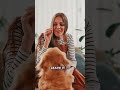 Your Dog Isn't Stubborn or Isn't Listening