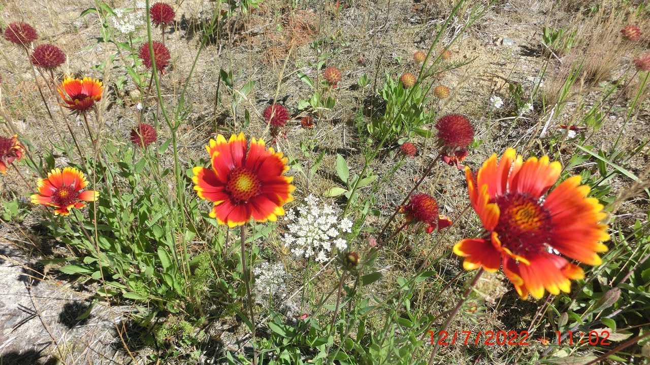 ГСВГ. Пункт подготовки ракет,аэродром Altes Lager,окрестности 12.07.2022