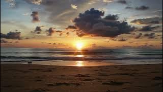 Coriander feat. RØRE (Cinematic Version) - InstrumentalVoyageur Background music