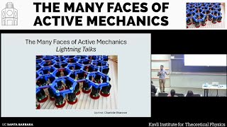 Lightning talks ▸ #ACTIVESOLIDS-c24 Poster presenters