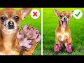 DUEÑO DE MASCOTA MALO VS. BUENO 🐶¿Eres un buen cuidador? Cómo ser el mejor🐱 por 123 GO! CHALLENGE