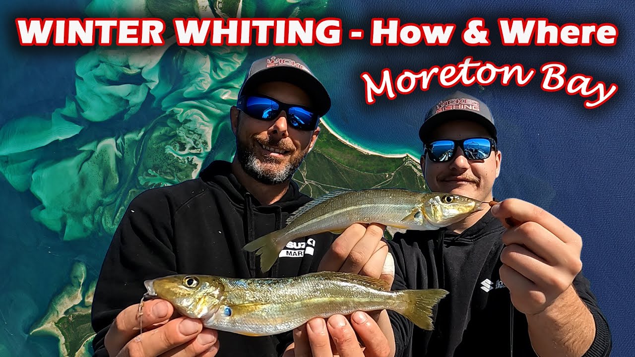 How & Where to Catch WINTER WHITING in Moreton Bay  A bet is made to see  who can catch the biggest 