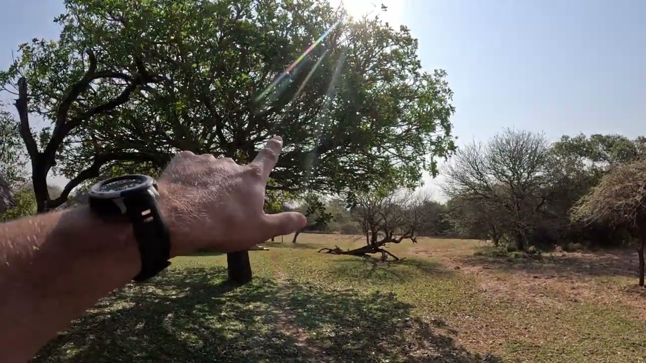 Обзор рыболовного лагеря Нконкони