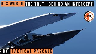 DCS WORLD | The truth behind an intercept