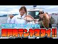 広島県・瀬戸内海のテンヤマダイ　鈴木新太郎×女良圭佑×川越すず 2025シーガーチャンネル