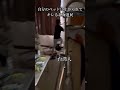 [お怒りさん]激おこぷんぷん丸な北海道民がツボすぎるwwwww[留学]#留学 #ルームシェア #shorts
