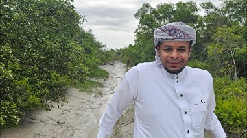 من وسط غابة سوندربون - بنجلادش - تلاوة مجودة - بلال الاغبري