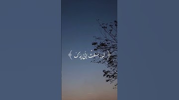 الشيخ سيد سعيد سورة المائدة #قران_كريم #سيد_سعيد #الشيخ_سيد_سعيد #سورة_المائدة #تلاوة_خاشعة #قرآن