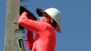 Lineman Appreciation Day: A day to honor YOUR local lineworkers!