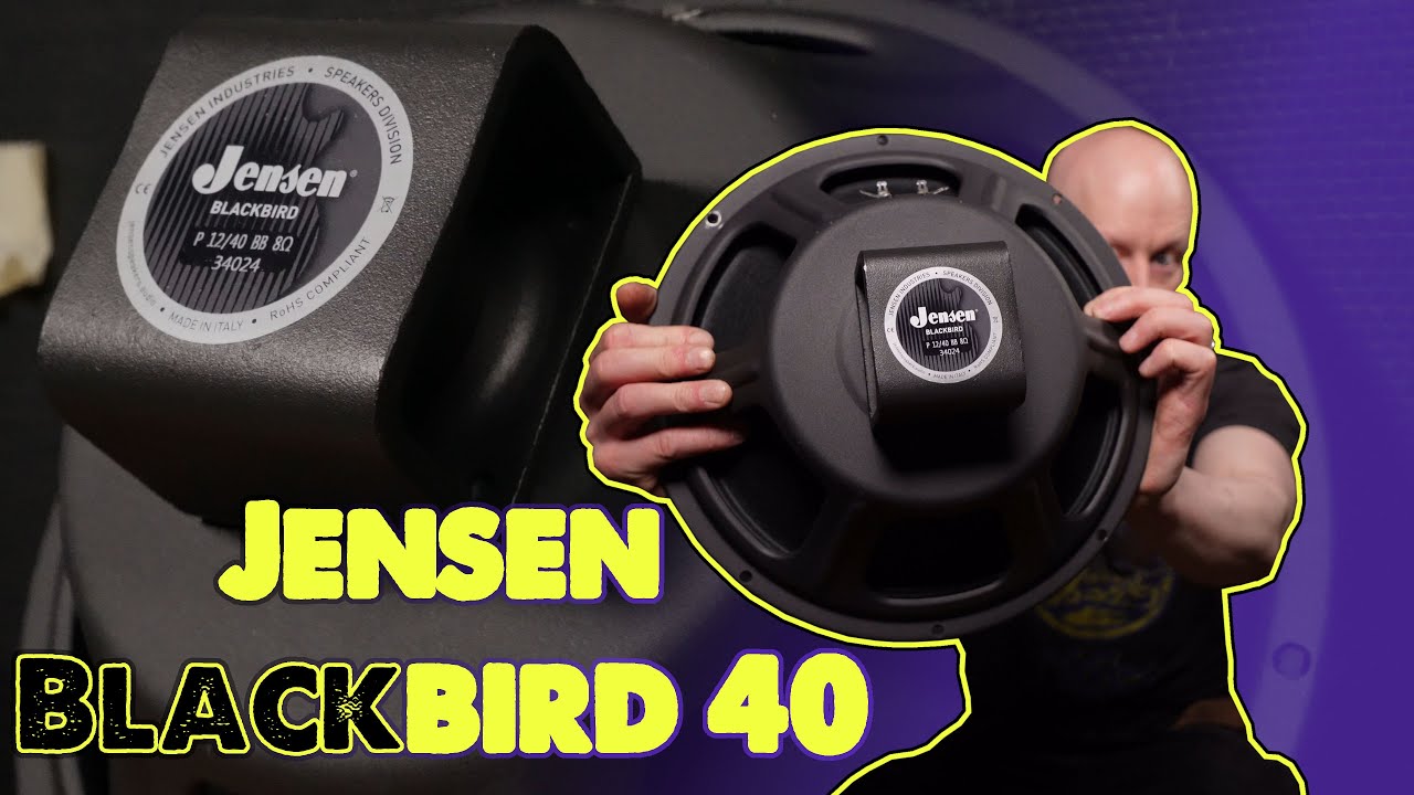 Jensen Blackbird 40 - Affordable AlNiCo Goodness - Light as a Neo!