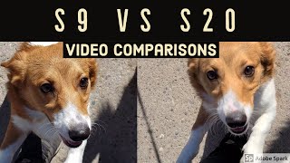 Samsung S20 vs S9 Camera Comparison (Part 2) screenshot 5