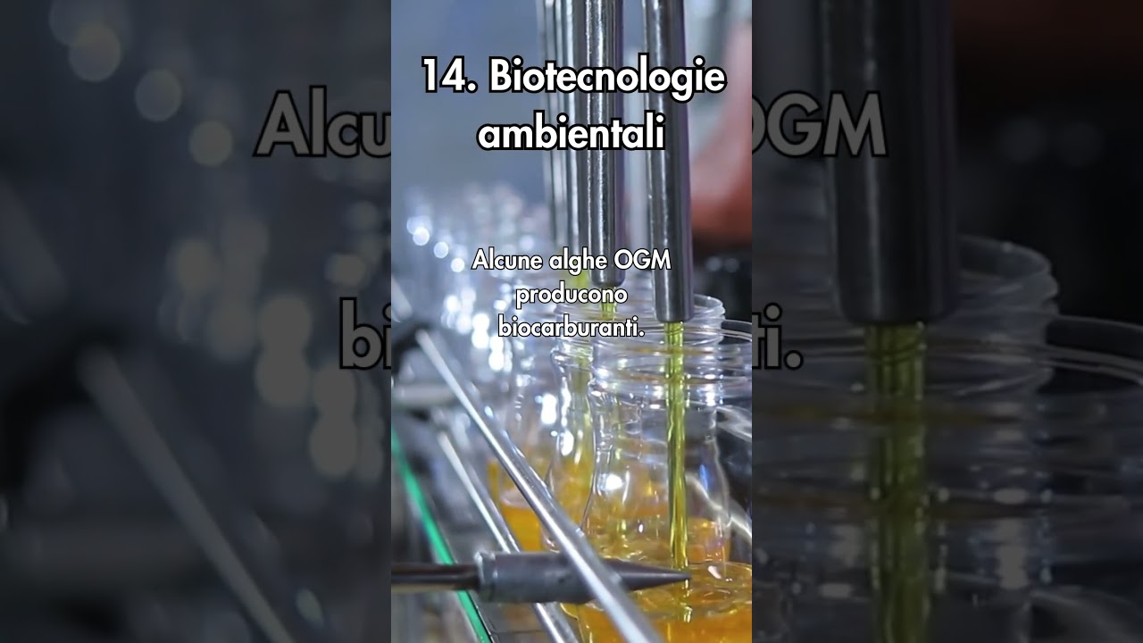 14 – Biotecnologie ambientali