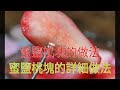 蜜鹽桃塊的做法 蜜鹽桃塊的詳細做法 蜜鹽桃塊的做法 蜜鹽桃塊的詳細做法