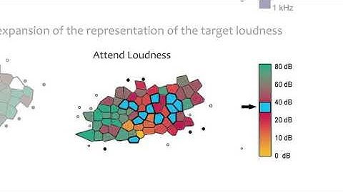 Brain Plasticity-Based Cognitive Training: Basic Science Issues