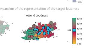 Brain Plasticity-Based Cognitive Training Basic Science Issues