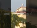 विदेशी पक्षी