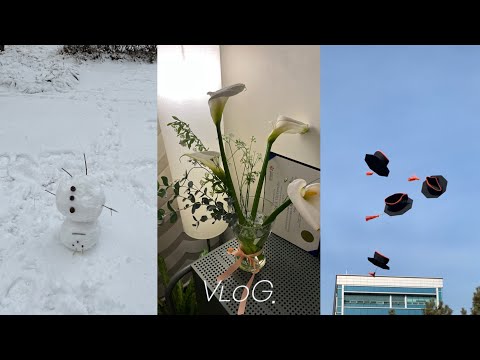 Vlog | 2월. 국수랑 눈놀이. 졸업