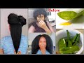 How To Remove The Poison From Aloe Vera For Extreme Hair GROWTH / Watch This Before Using Aloe Vera