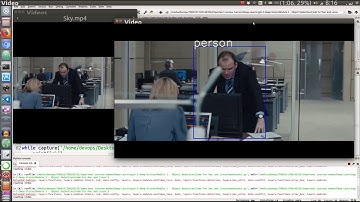 Pytroch (SSD cuda coco dataset) mamontorch testing