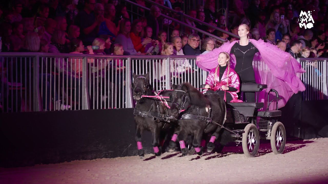 MiMaMo - Die Pferde-Kinder-Pony-Show